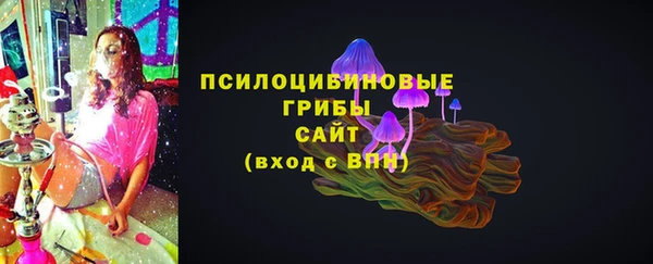 винт Гусиноозёрск