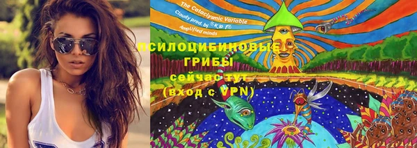 ALPHA-PVP Гусев